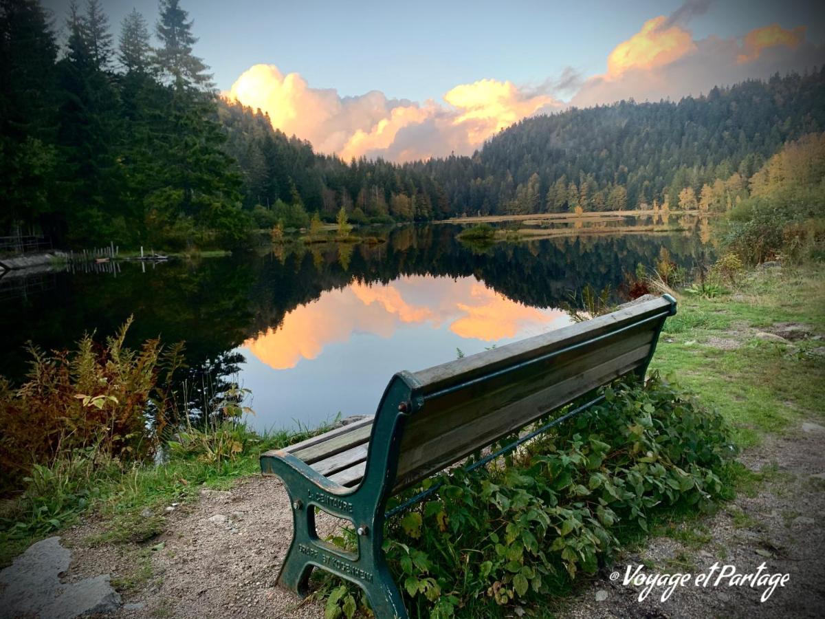 Demoiselle Des Roches Daire Ramonchamp Dış mekan fotoğraf