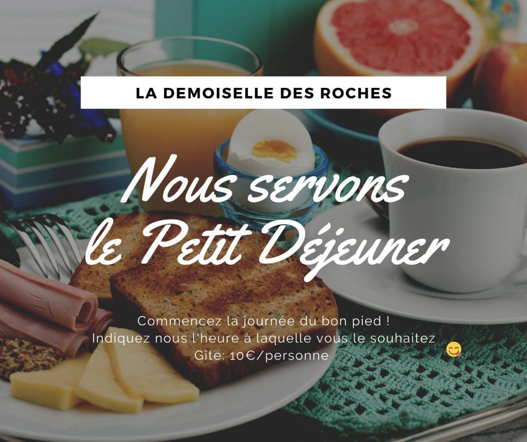 Demoiselle Des Roches Daire Ramonchamp Dış mekan fotoğraf